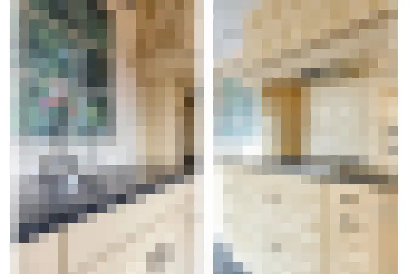 Dr vd Broekstraat 18 Cuijk thumbnail 19
