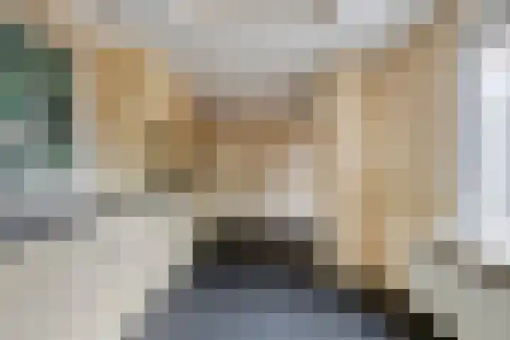 Dr vd Broekstraat 18 Cuijk thumbnail 20