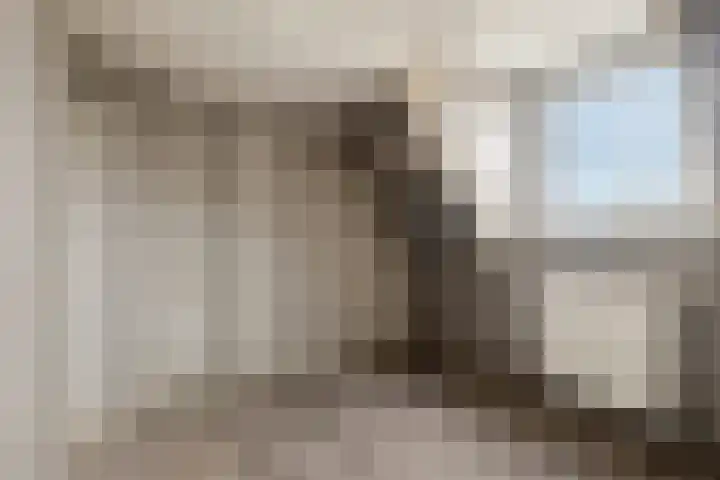Dr vd Broekstraat 18 Cuijk thumbnail 23