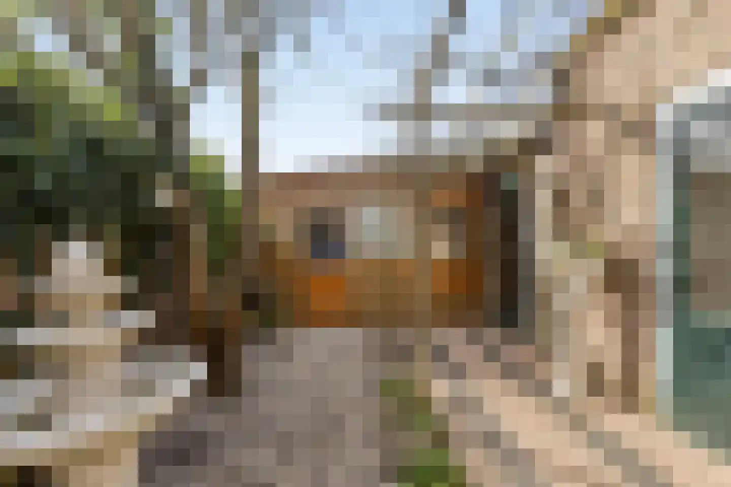 Dr vd Broekstraat 18 Cuijk thumbnail 33