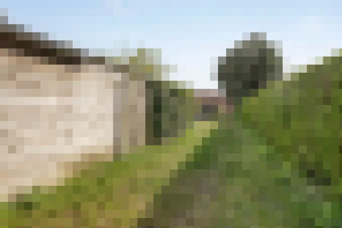 Dr vd Broekstraat 18 Cuijk thumbnail 35
