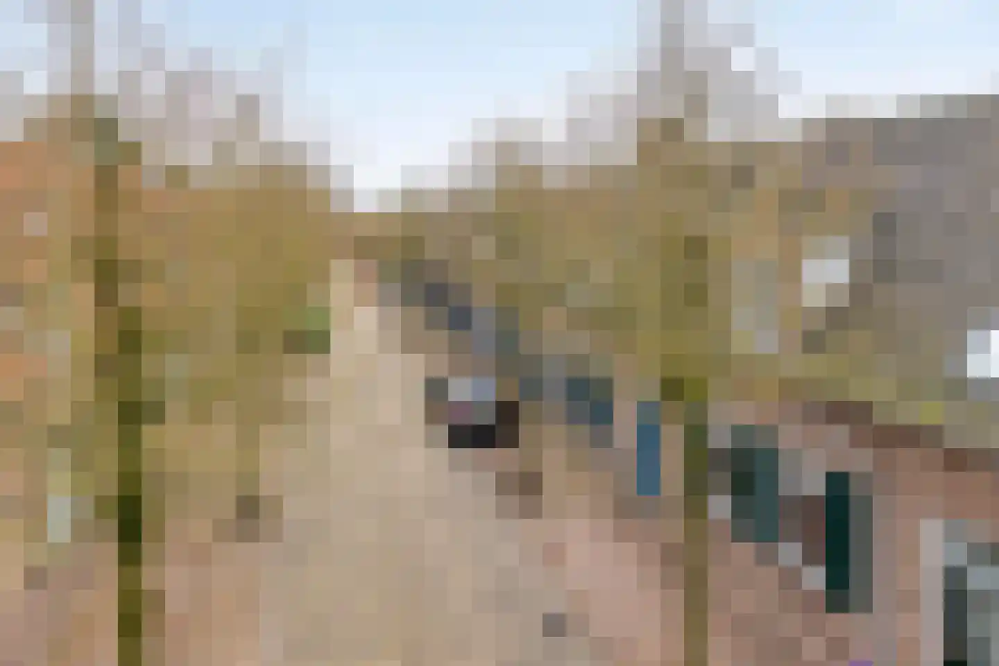 Dr vd Broekstraat 18 Cuijk thumbnail 9