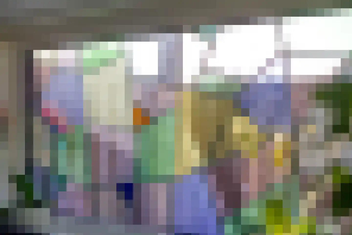 Dr vd Broekstraat 2 Cuijk thumbnail 10