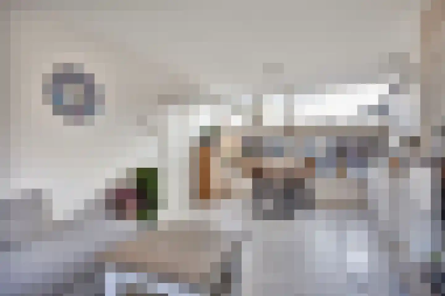Dr vd Broekstraat 2 Cuijk thumbnail 12