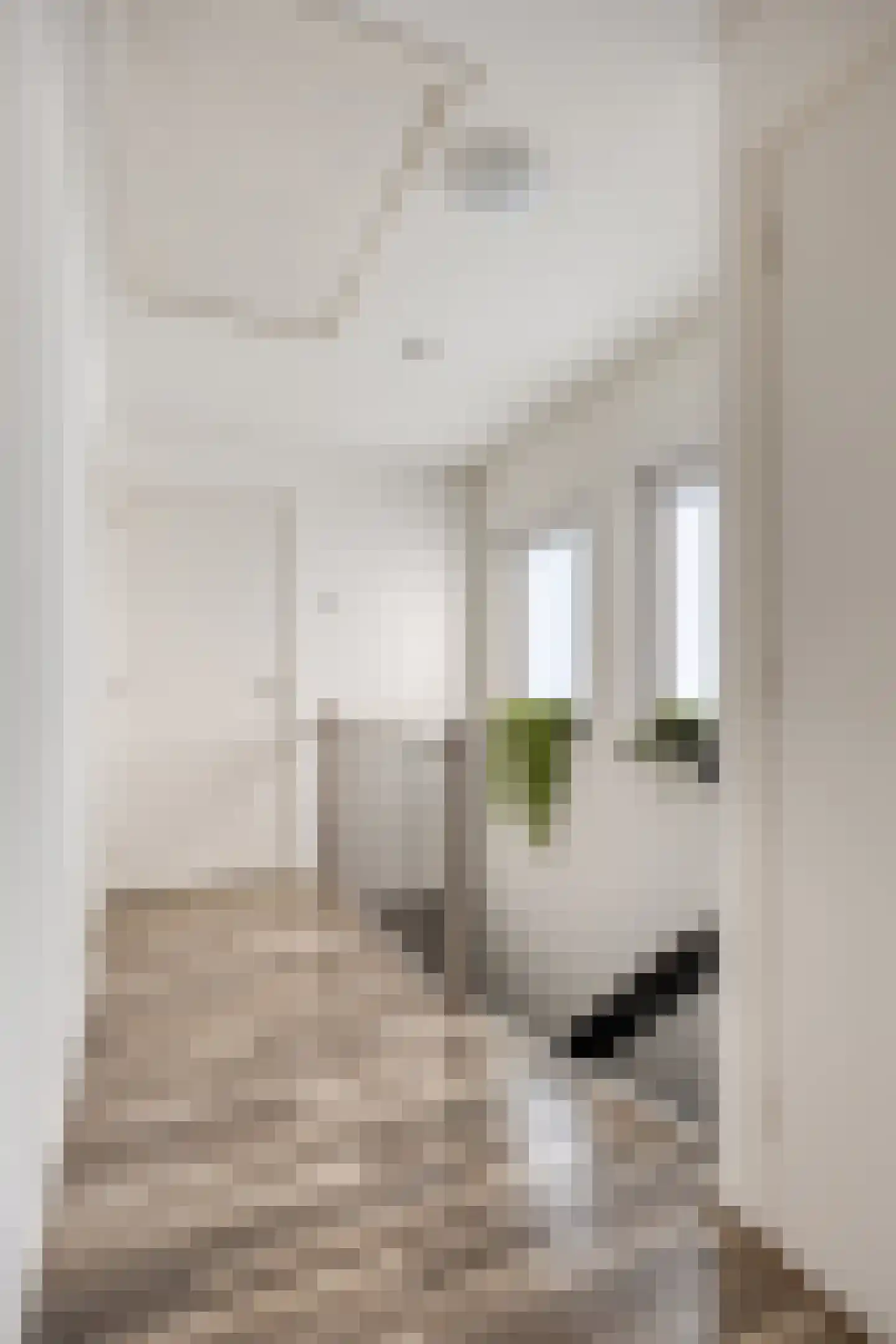Dr vd Broekstraat 2 Cuijk thumbnail 18