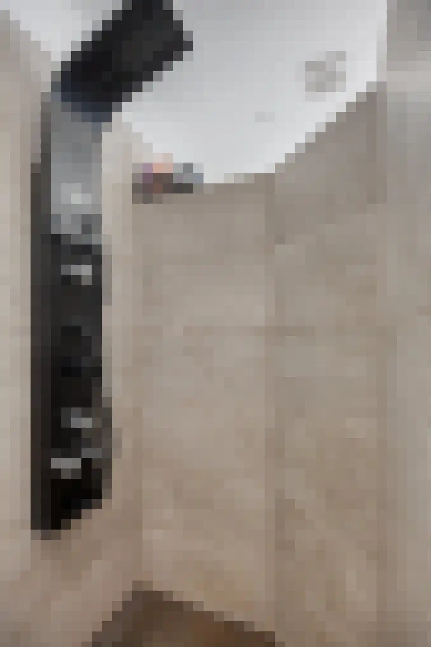 Dr vd Broekstraat 2 Cuijk thumbnail 26