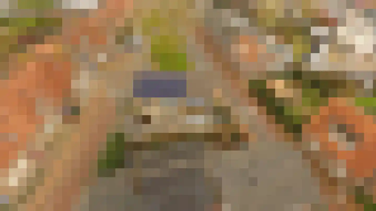 Dr vd Broekstraat 2 Cuijk thumbnail 6