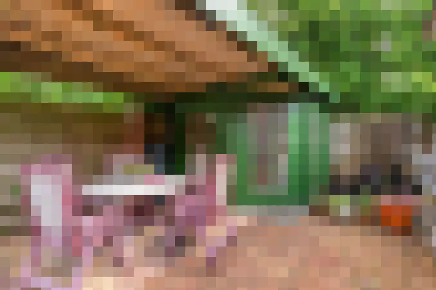 Dr. Verbeeksingel 15 Veghel thumbnail 29