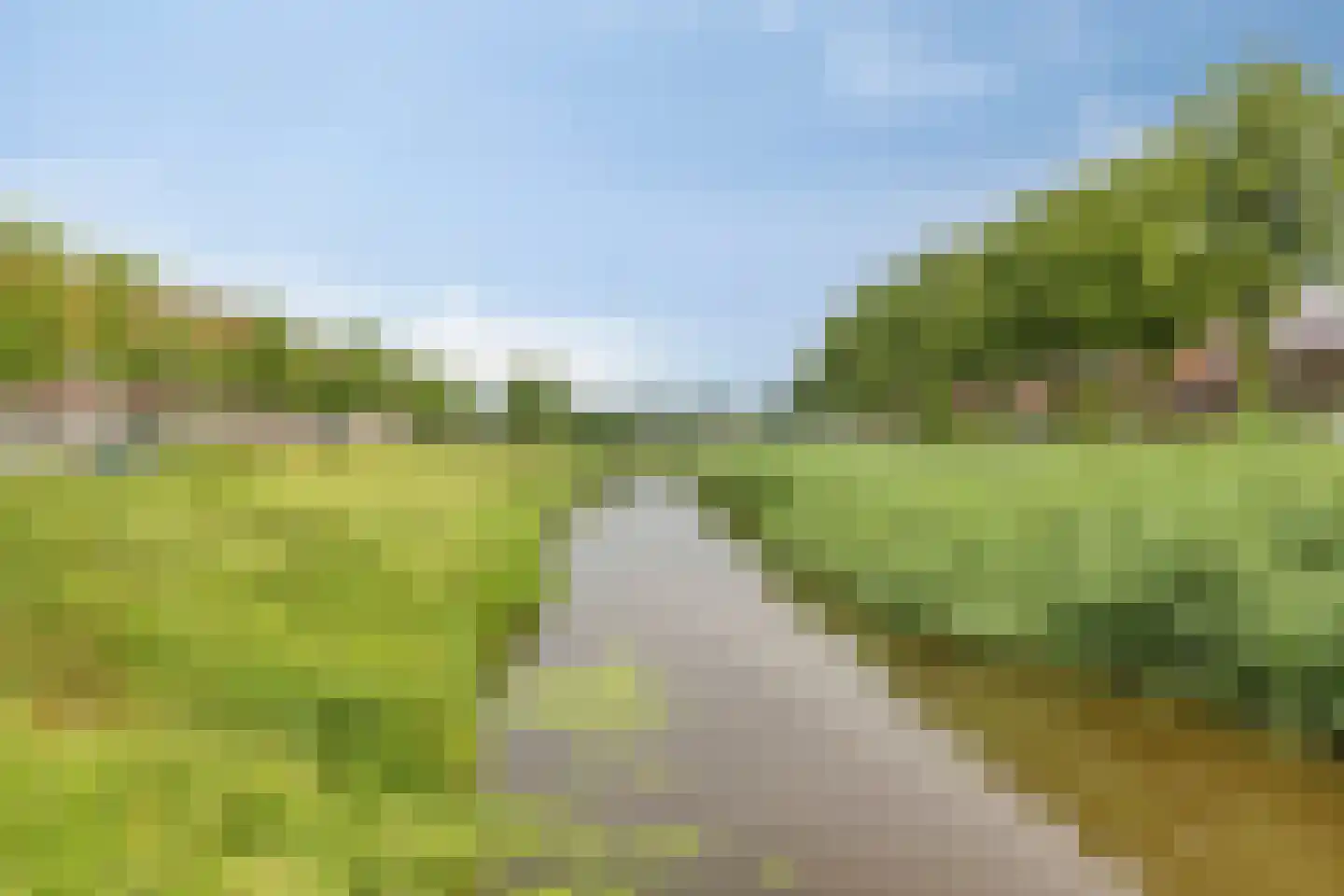 Dr. Verbeeksingel 15 Veghel thumbnail 33