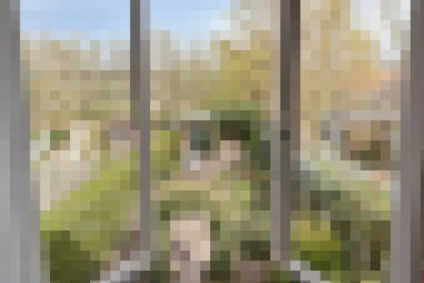 Dr. Verbeeksingel 2 Veghel thumbnail 20