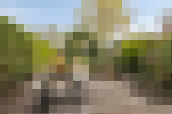 Dr. Verbeeksingel 2 Veghel thumbnail 37