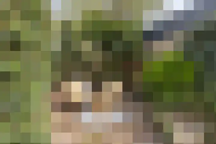 Dr. Verbeeksingel 2 Veghel thumbnail 40
