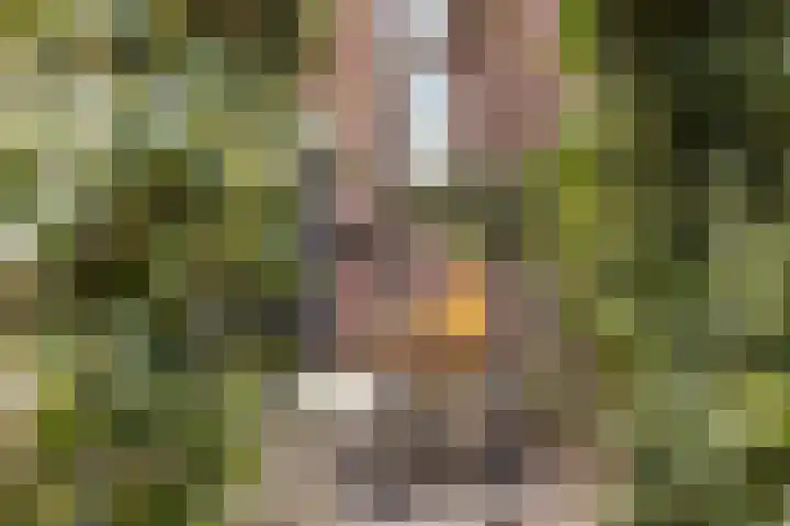 Dr. Verbeeksingel 2 Veghel thumbnail 42