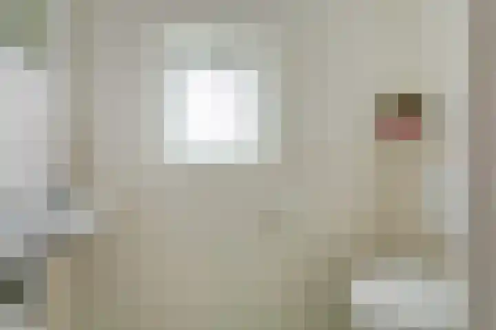 Dr Verhagenstraat 13 Dinxperlo thumbnail 31