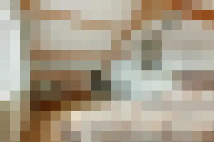 Dr Verhagenstraat 13 Dinxperlo thumbnail 37