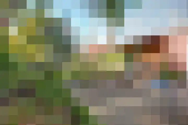 Dr Verhagenstraat 13 Dinxperlo thumbnail 39