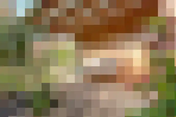 Dr Verhagenstraat 13 Dinxperlo thumbnail 41