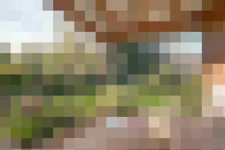 Dr Verhagenstraat 13 Dinxperlo thumbnail 42