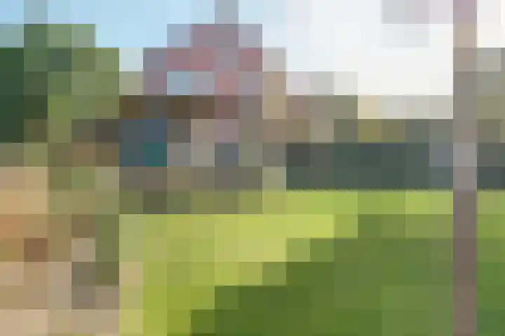 Dr Verhagenstraat 13 Dinxperlo thumbnail 43