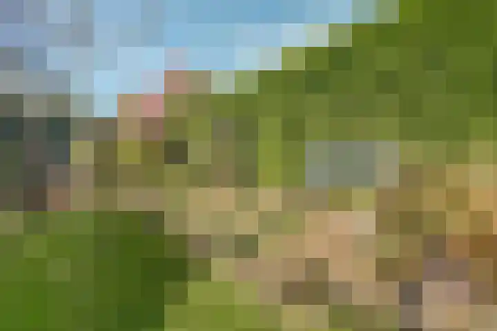 Dr Verhagenstraat 13 Dinxperlo thumbnail 44