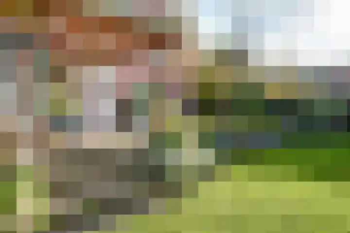 Dr Verhagenstraat 13 Dinxperlo thumbnail 45