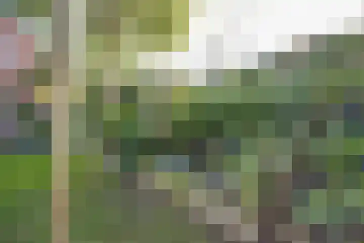 Dr Verhagenstraat 13 Dinxperlo thumbnail 47