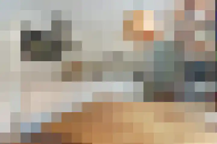 Dr Verhagenstraat 13 Dinxperlo thumbnail 7