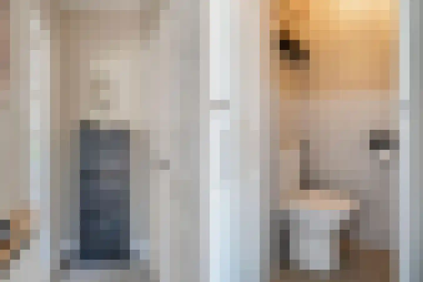 Dr Vlaanderenlaan 3 Koudekerk aan den Rijn thumbnail 9