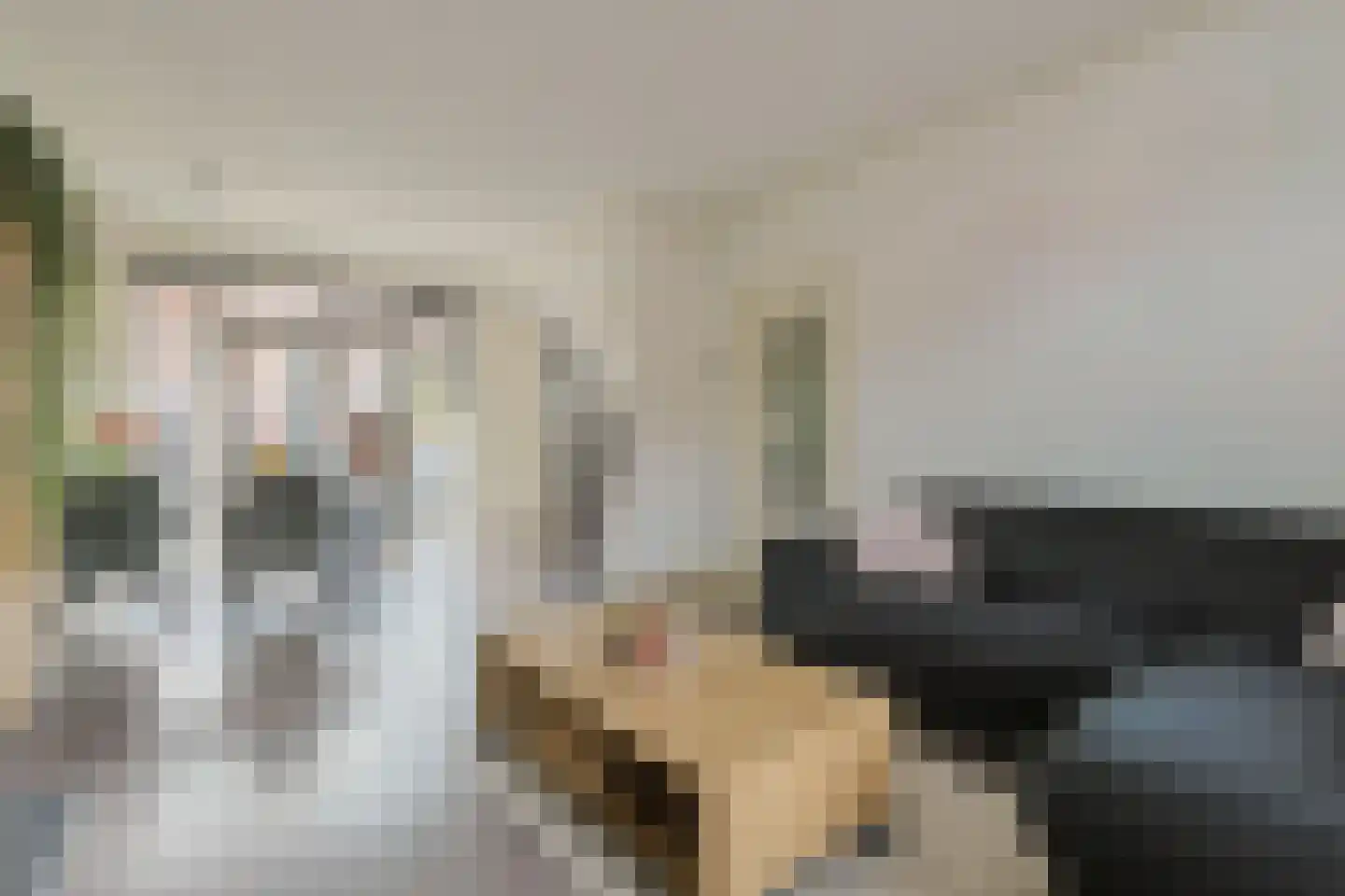 Dr Vlaanderenlaan 5 Koudekerk aan den Rijn thumbnail 10