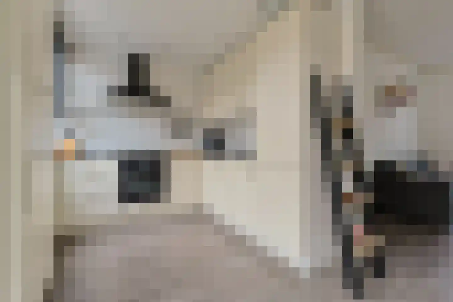 Dr Vlaanderenlaan 5 Koudekerk aan den Rijn thumbnail 12