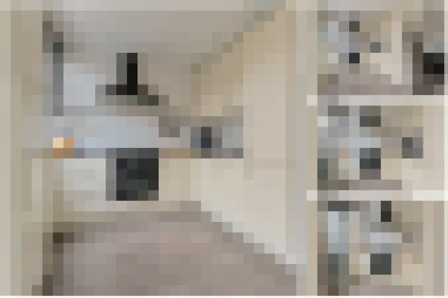 Dr Vlaanderenlaan 5 Koudekerk aan den Rijn thumbnail 15