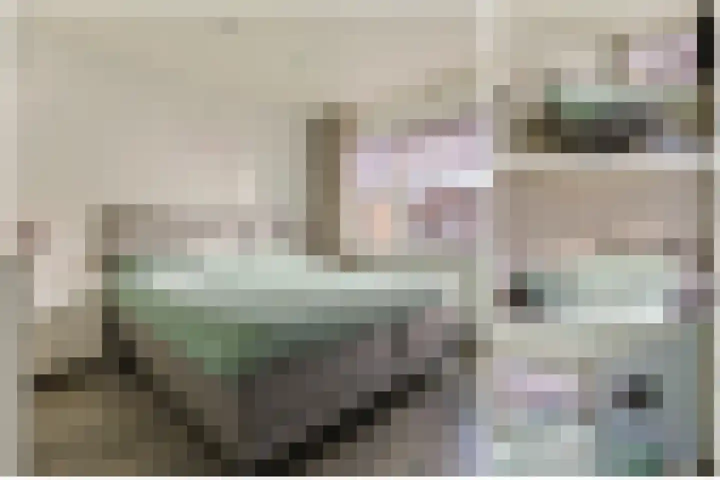 Dr Vlaanderenlaan 5 Koudekerk aan den Rijn thumbnail 26