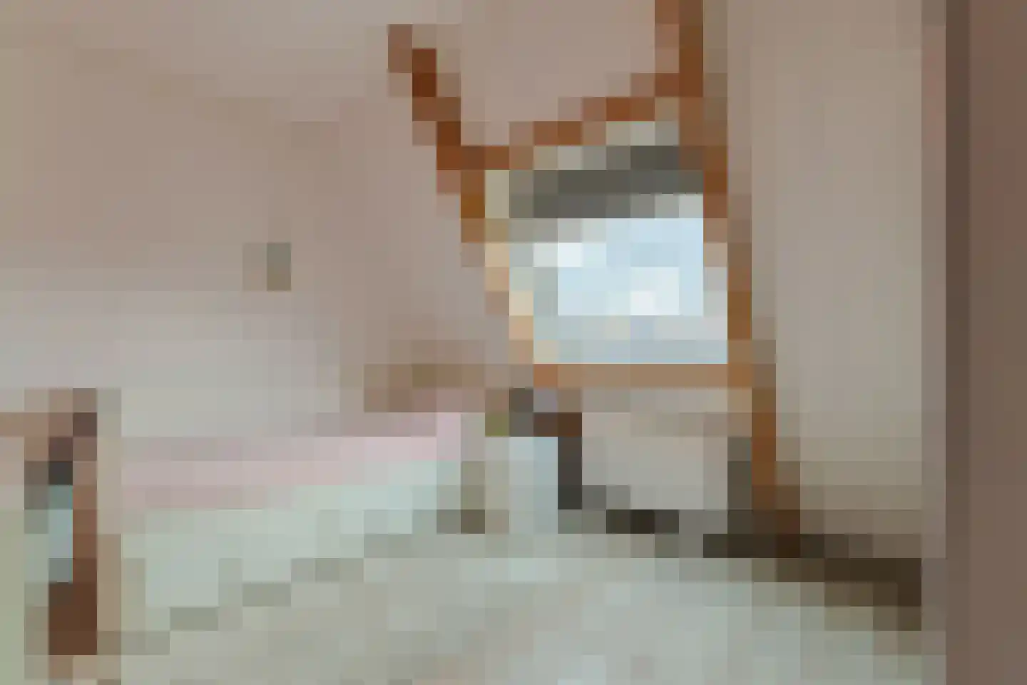 Dr Vlaanderenlaan 5 Koudekerk aan den Rijn thumbnail 35