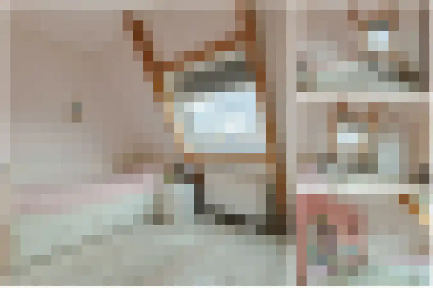 Dr Vlaanderenlaan 5 Koudekerk aan den Rijn thumbnail 37