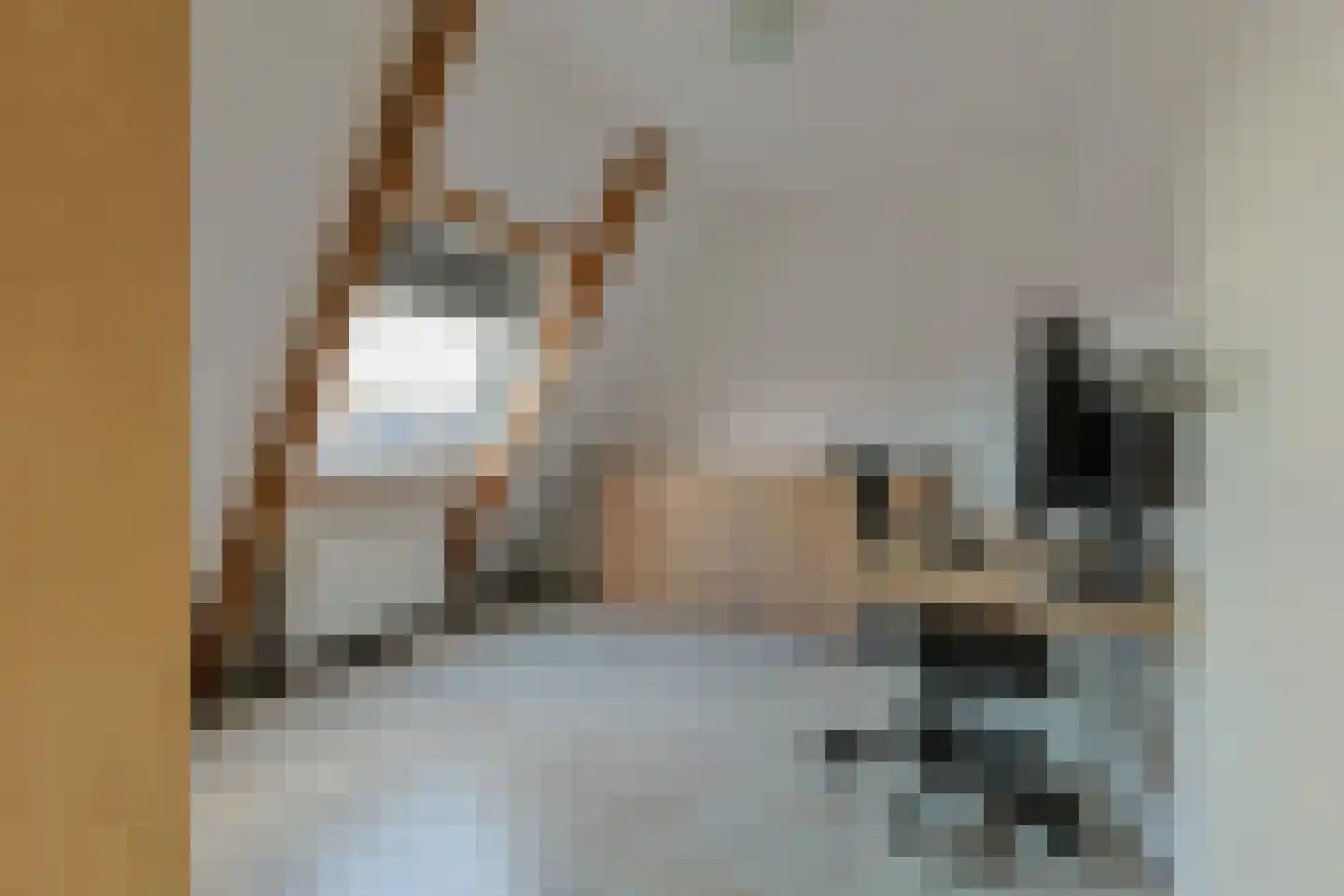 Dr Vlaanderenlaan 5 Koudekerk aan den Rijn thumbnail 38