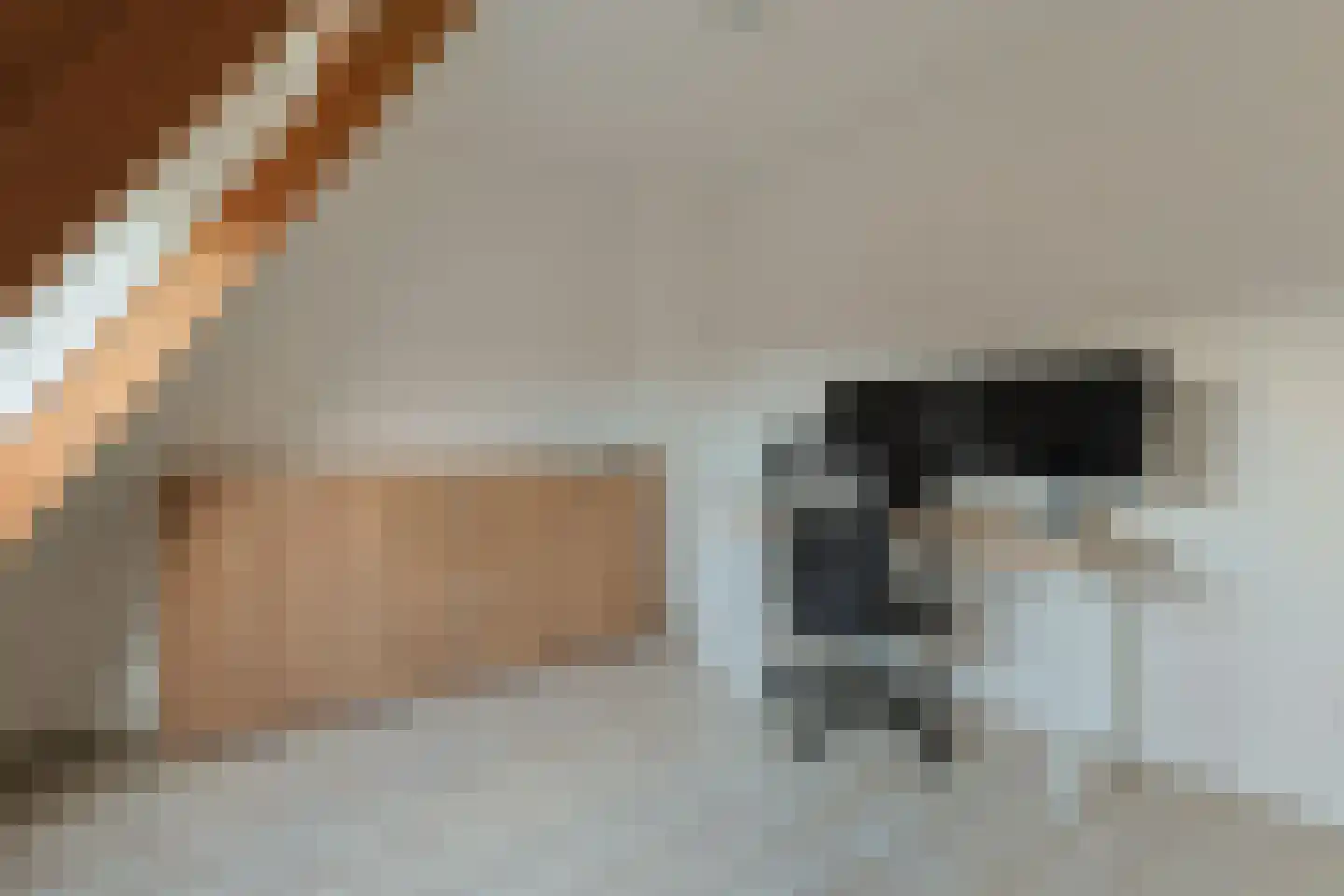 Dr Vlaanderenlaan 5 Koudekerk aan den Rijn thumbnail 39