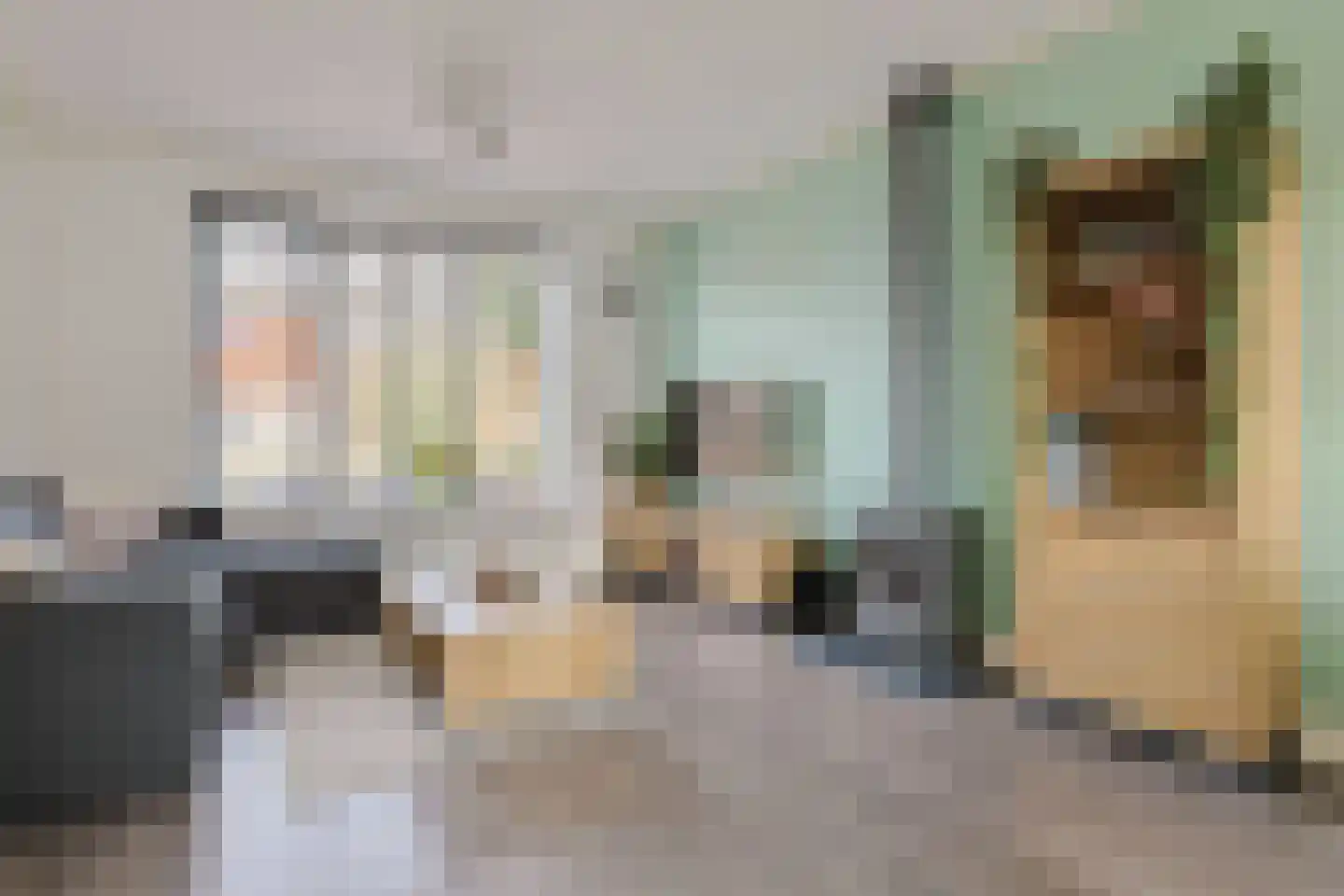 Dr Vlaanderenlaan 5 Koudekerk aan den Rijn thumbnail 7