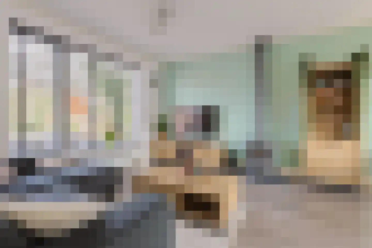 Dr Vlaanderenlaan 5 Koudekerk aan den Rijn thumbnail 8
