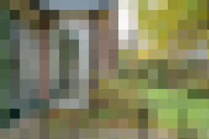Dr W C H Staringstraat 21 Vorden thumbnail 10