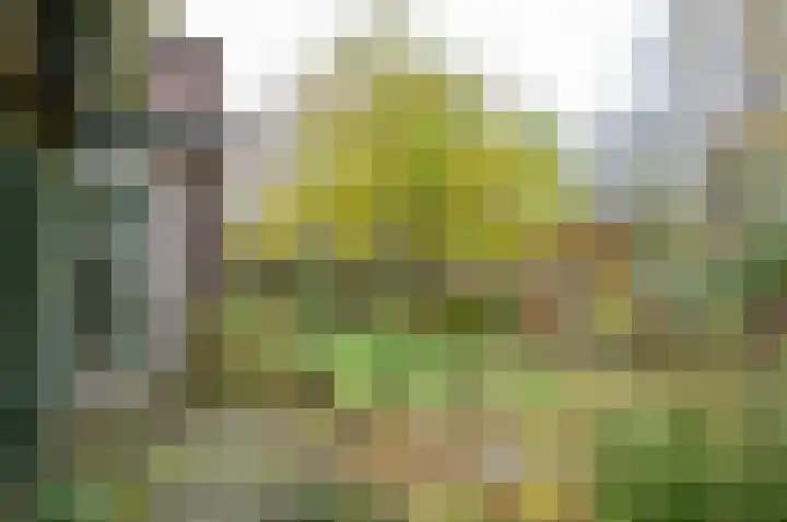 Dr W C H Staringstraat 21 Vorden thumbnail 11
