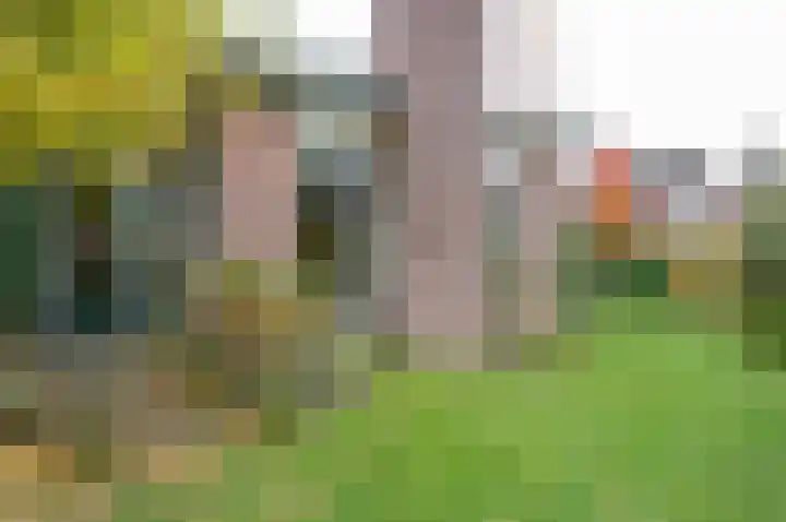 Dr W C H Staringstraat 21 Vorden thumbnail 12