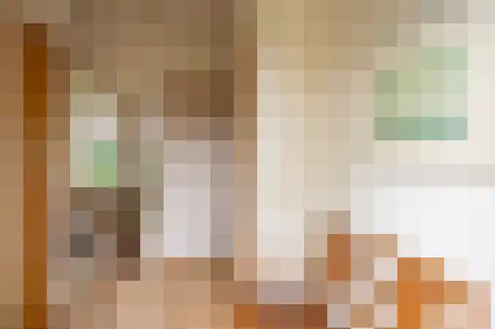 Dr W C H Staringstraat 21 Vorden thumbnail 16