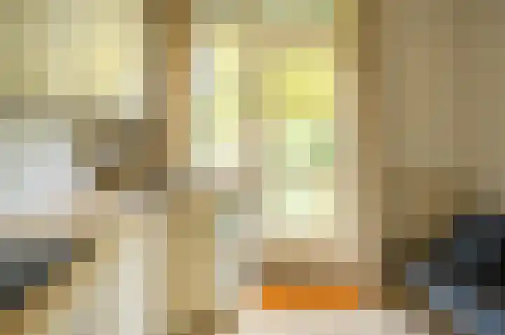 Dr W C H Staringstraat 21 Vorden thumbnail 18