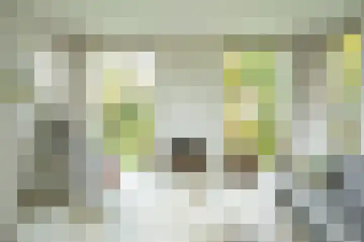 Dr W C H Staringstraat 21 Vorden thumbnail 23