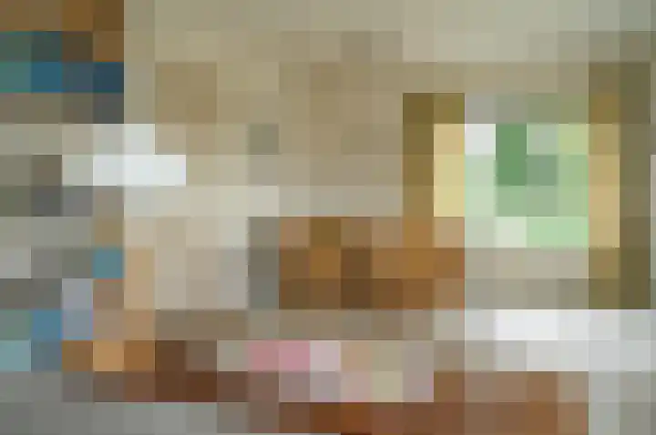Dr W C H Staringstraat 21 Vorden thumbnail 25
