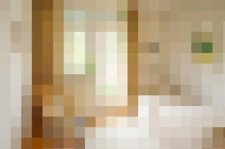 Dr W C H Staringstraat 21 Vorden thumbnail 33