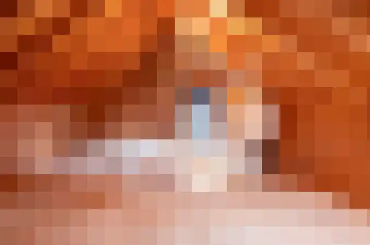 Dr W C H Staringstraat 21 Vorden thumbnail 38