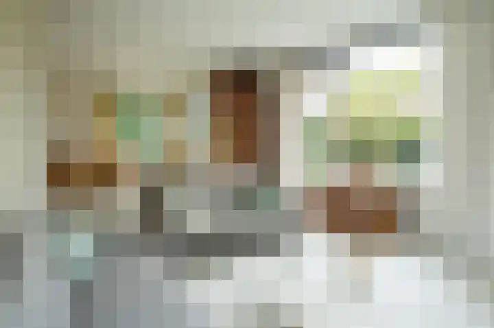 Dr W C H Staringstraat 21 Vorden thumbnail 4