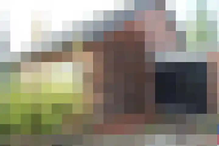 Dr W C H Staringstraat 21 Vorden thumbnail 41