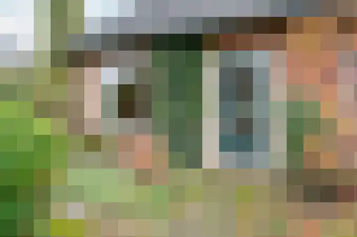 Dr W C H Staringstraat 21 Vorden thumbnail 5